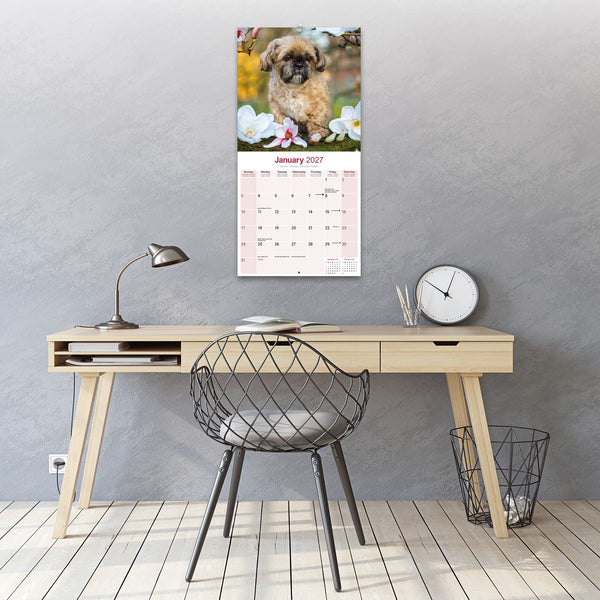 Shih Tzu Calendar 2027