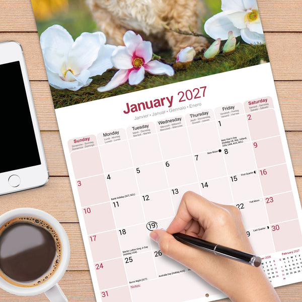 Shih Tzu Calendar 2027