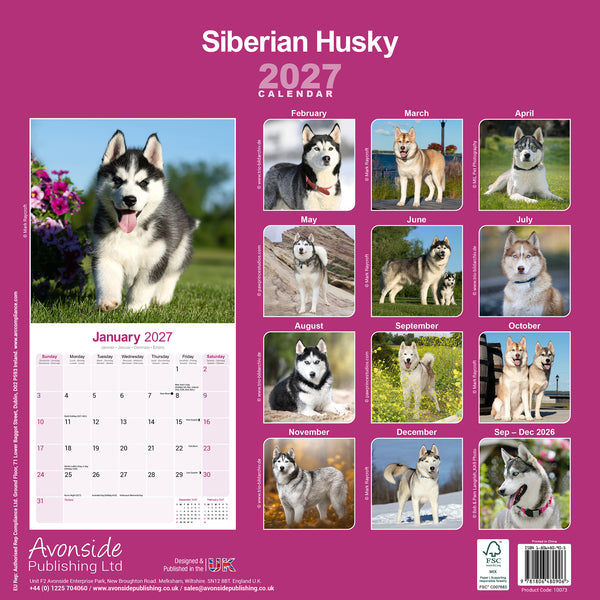 Siberian Husky Calendar 2027