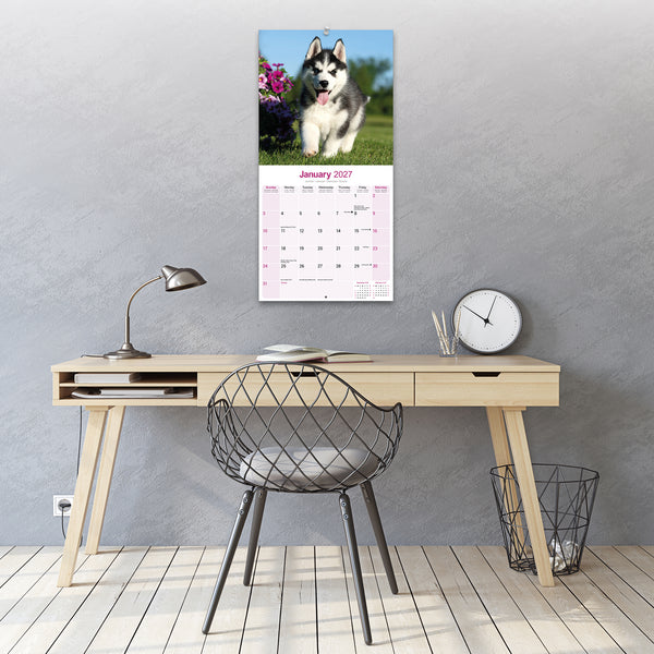 Siberian Husky Calendar 2027