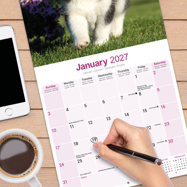 Siberian Husky Calendar 2027