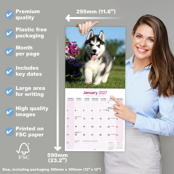 Siberian Husky Calendar 2027