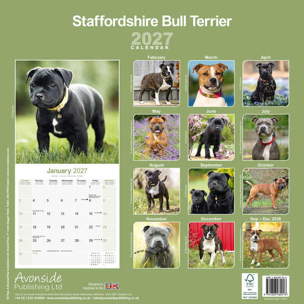Staffordshire Bull Terrier Calendar 2027
