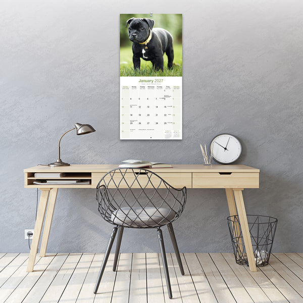 Staffordshire Bull Terrier Calendar 2027