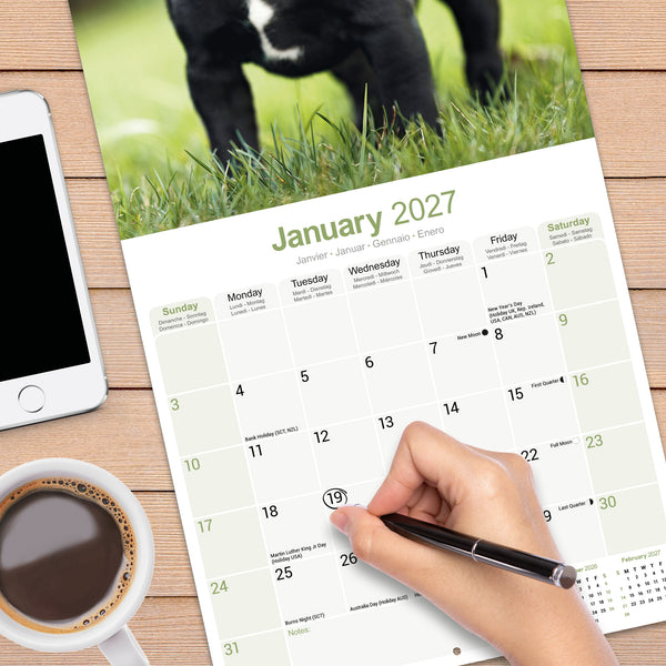Staffordshire Bull Terrier Calendar 2027