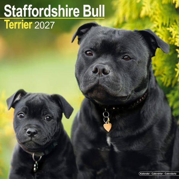 Staffordshire Bull Terrier Calendar 2027