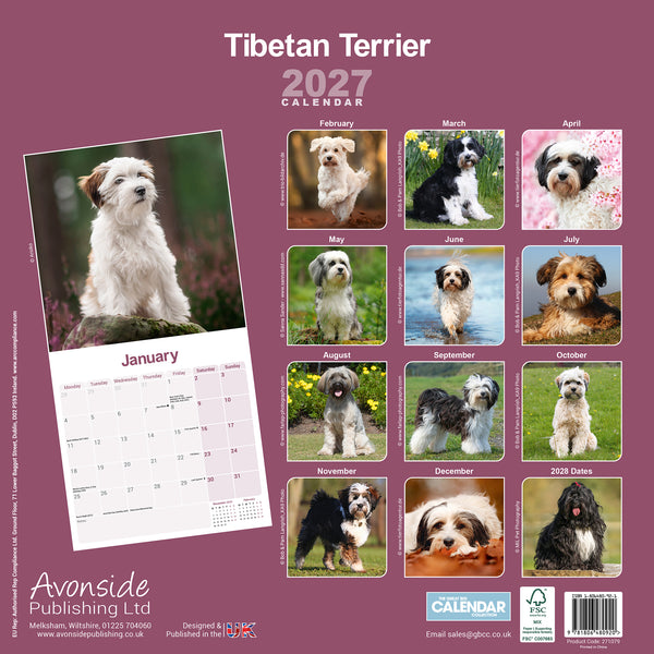 Tibetan Terrier Calendar 2027