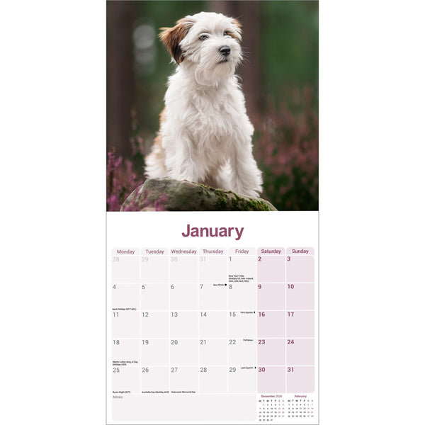 Tibetan Terrier Calendar 2027