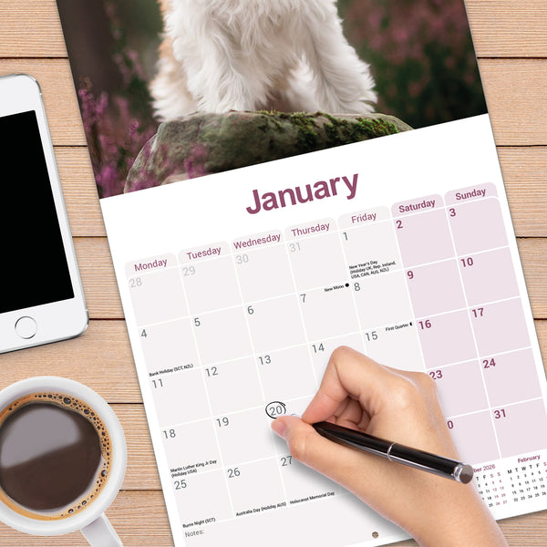 Tibetan Terrier Calendar 2027
