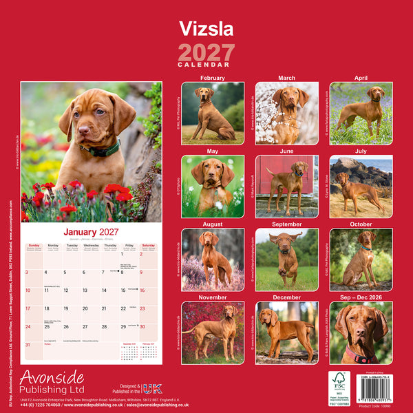 Vizsla Calendar 2027
