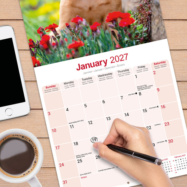 Vizsla Calendar 2027