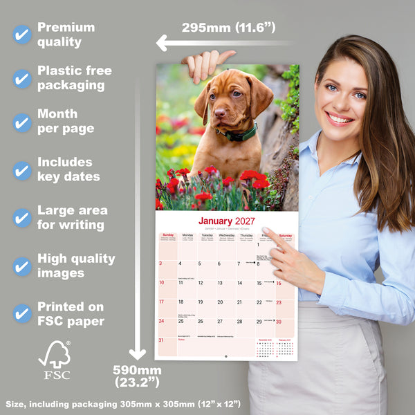 Vizsla Calendar 2027