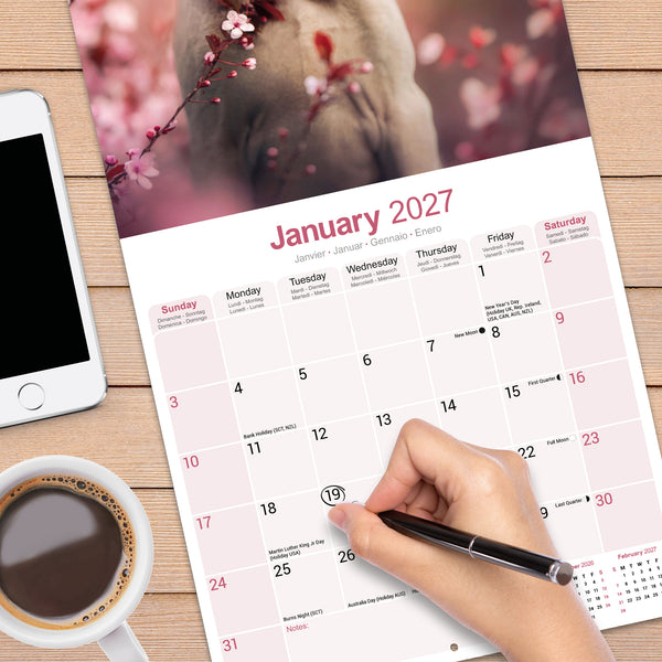 Weimaraner Calendar 2027
