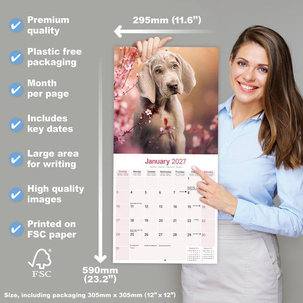Weimaraner Calendar 2027