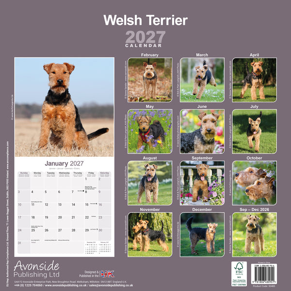 Welsh Terrier Calendar 2027