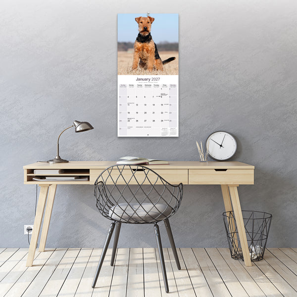 Welsh Terrier Calendar 2027