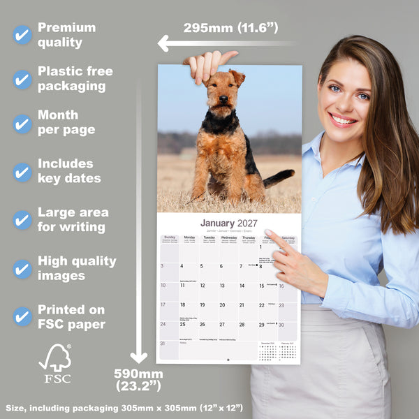 Welsh Terrier Calendar 2027
