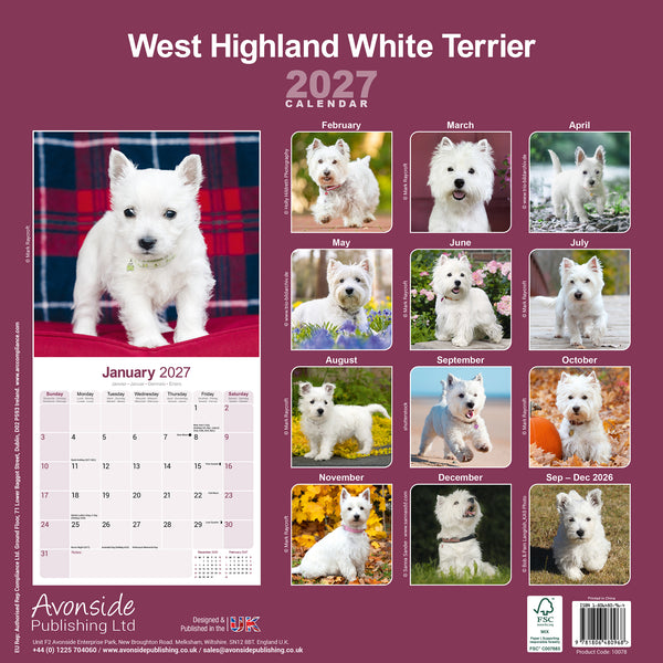 West Highland White Terrier Calendar 2027