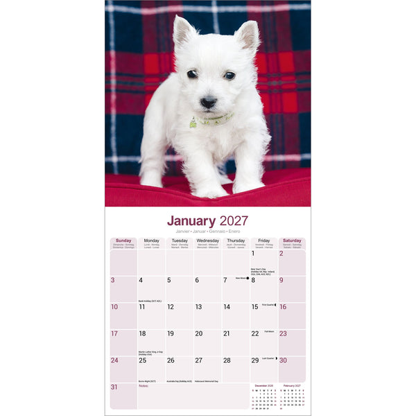 West Highland White Terrier Calendar 2027