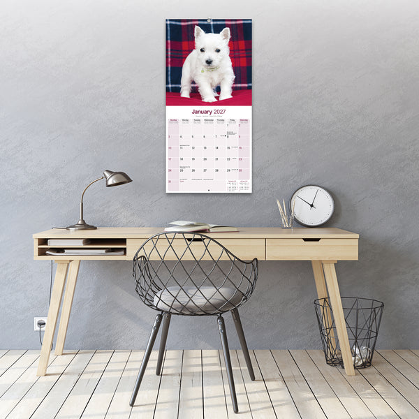 West Highland White Terrier Calendar 2027