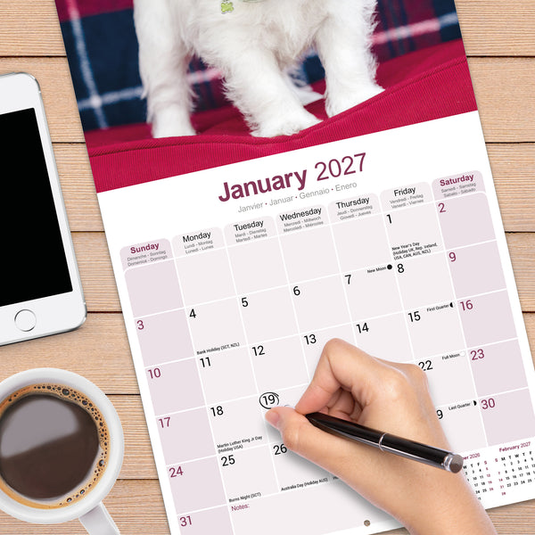 West Highland White Terrier Calendar 2027