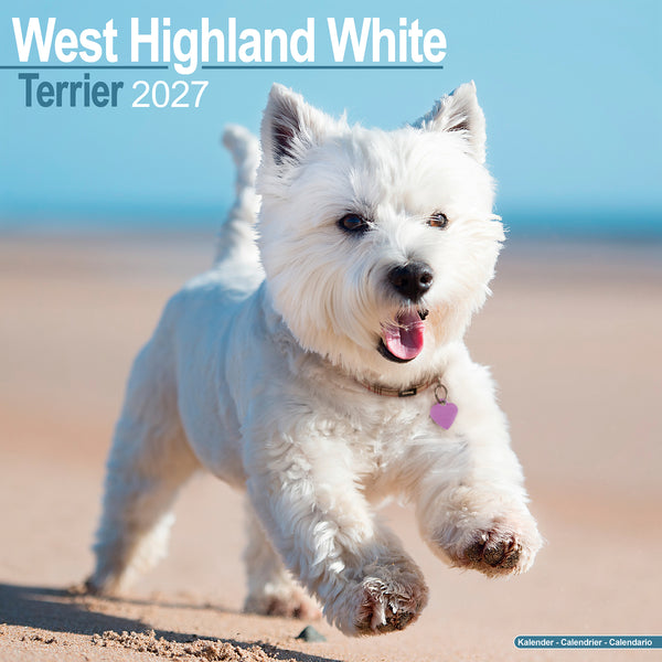 West Highland White Terrier Calendar 2027