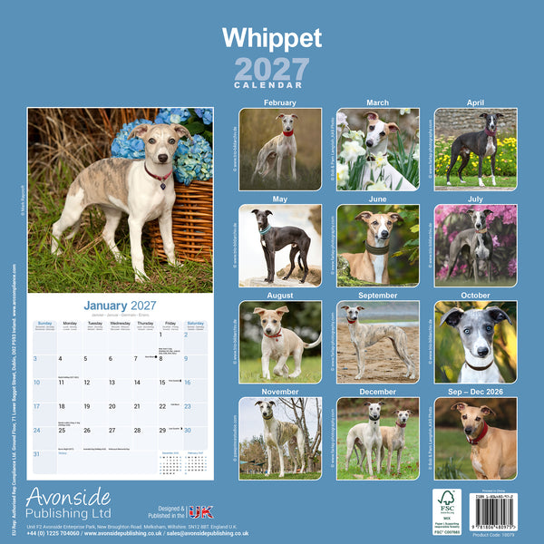 Whippet Calendar 2027