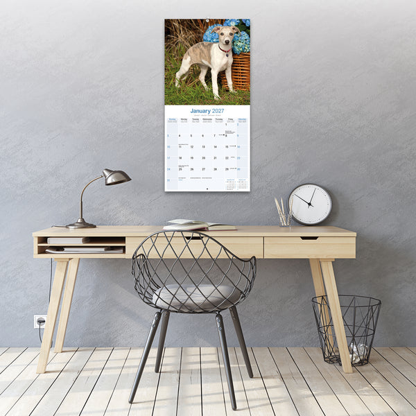 Whippet Calendar 2027