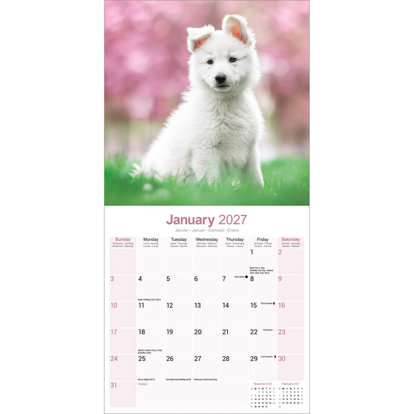 White Shepherd Calendar 2027