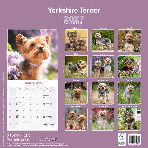 Yorkshire Terrier Calendar 2027
