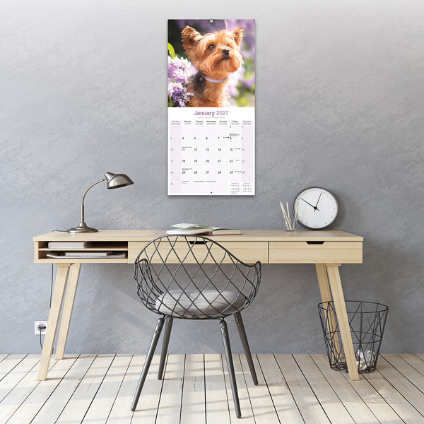 Yorkshire Terrier Calendar 2027