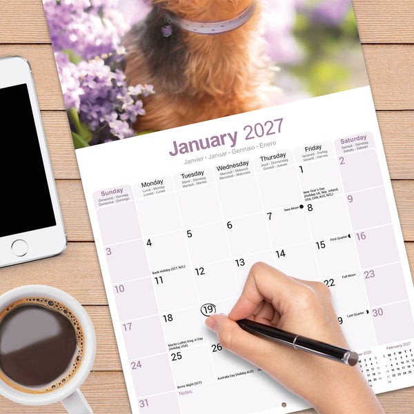 Yorkshire Terrier Calendar 2027