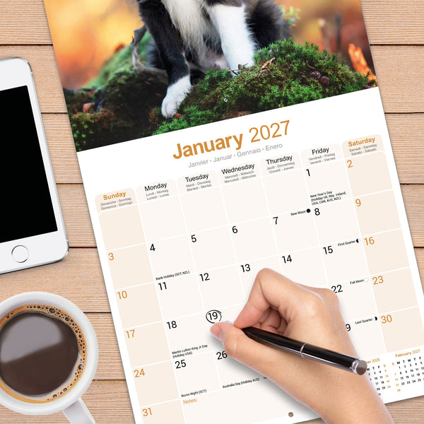 Border Collie Puppies Calendar 2027