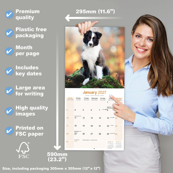 Border Collie Puppies Calendar 2027