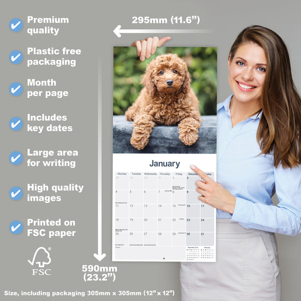 Cockapoo Puppies Calendar 2027