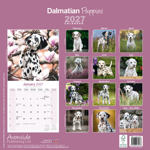 Dalmatian Puppies Calendar 2027