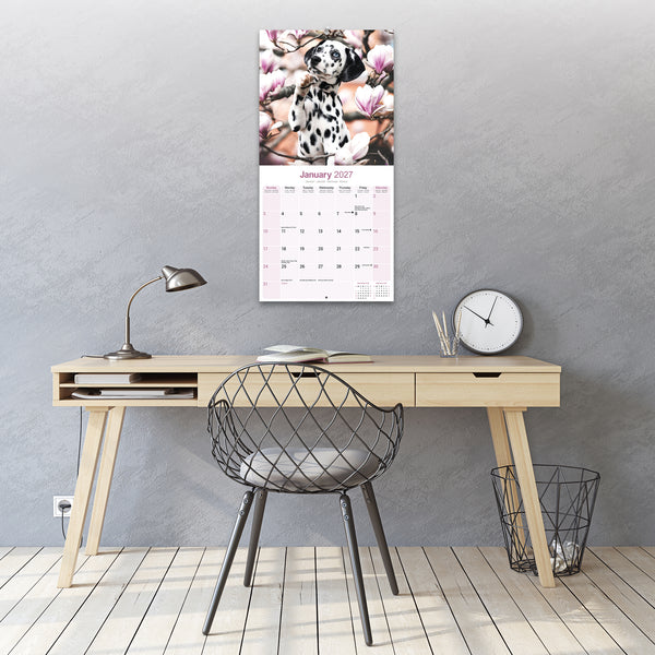 Dalmatian Puppies Calendar 2027