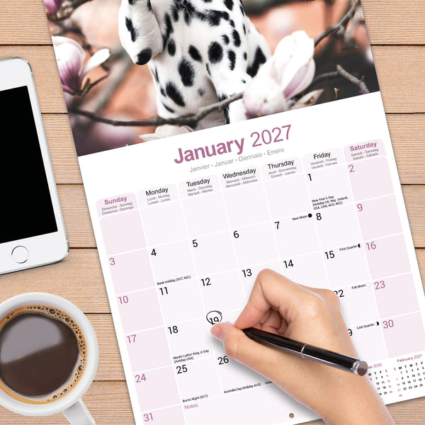 Dalmatian Puppies Calendar 2027