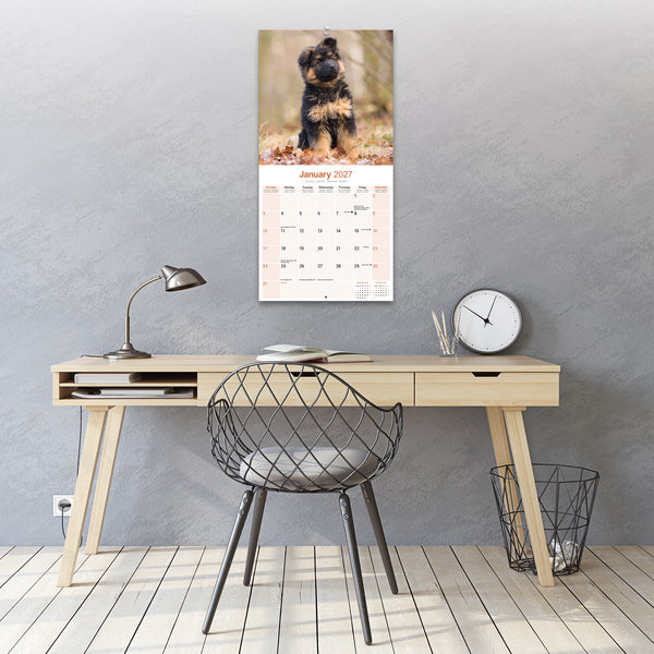 German Shepherd Puppies Calendar 2027