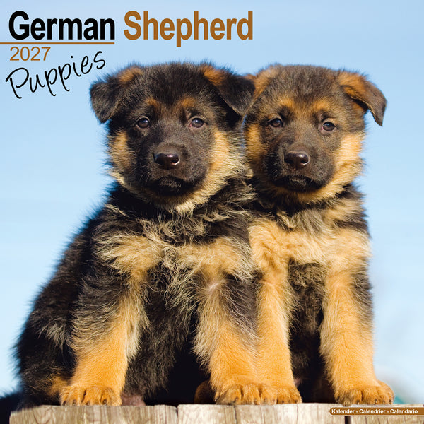German Shepherd Puppies Calendar 2027