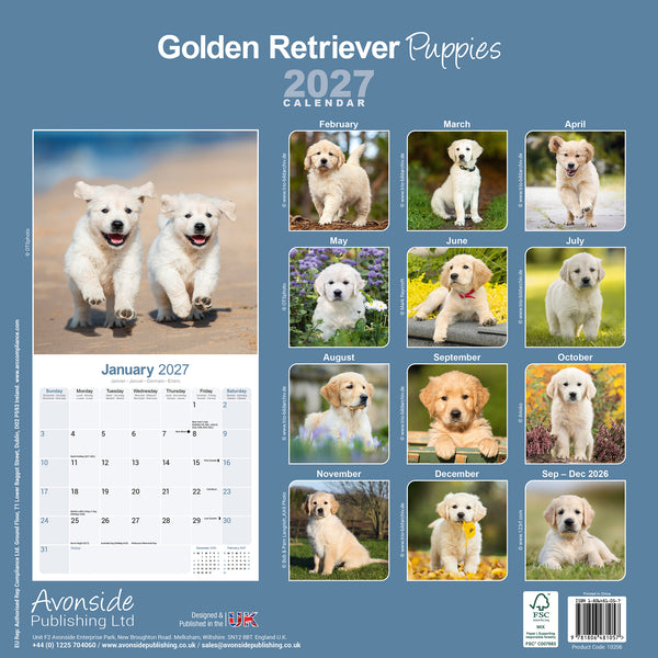 Golden Retriever Puppies Calendar 2027