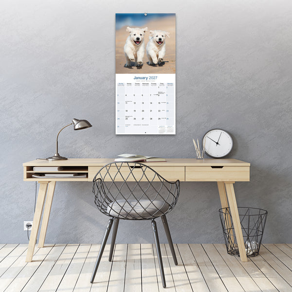 Golden Retriever Puppies Calendar 2027