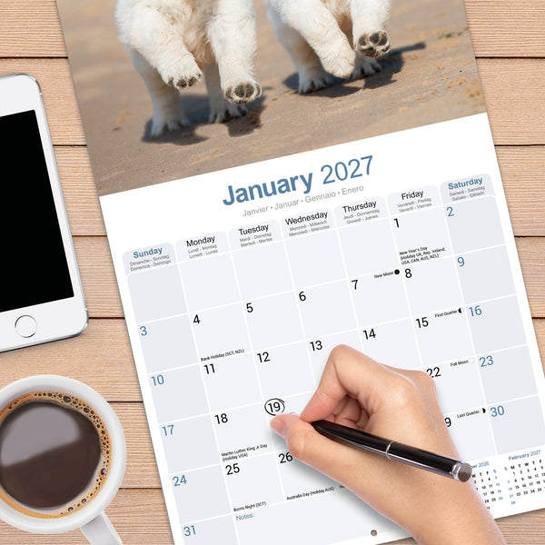Golden Retriever Puppies Calendar 2027