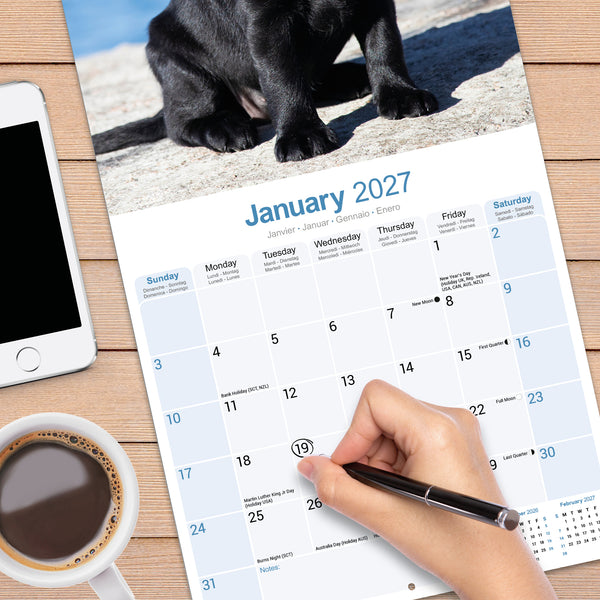 Black Labrador Puppies Calendar 2027