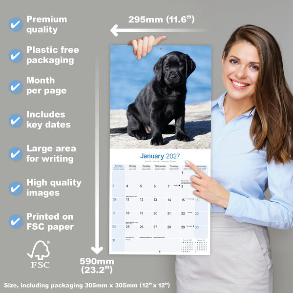 Black Labrador Puppies Calendar 2027