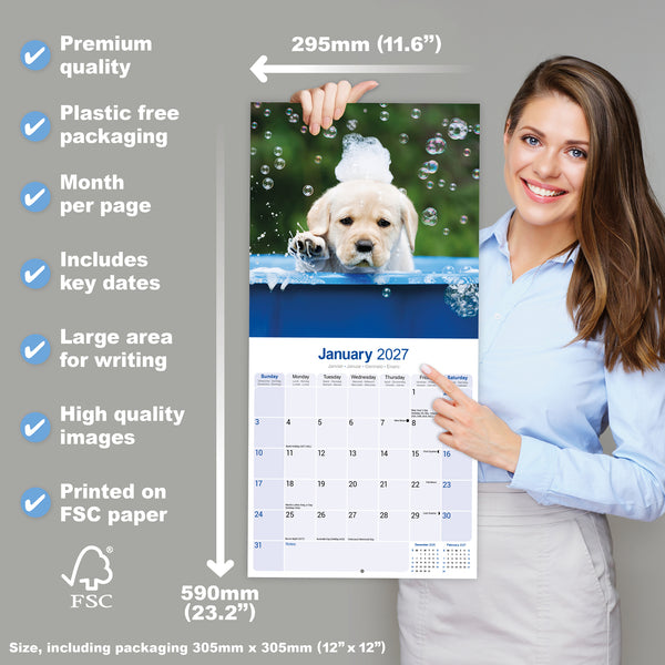 Yellow Labrador Puppies Calendar 2027