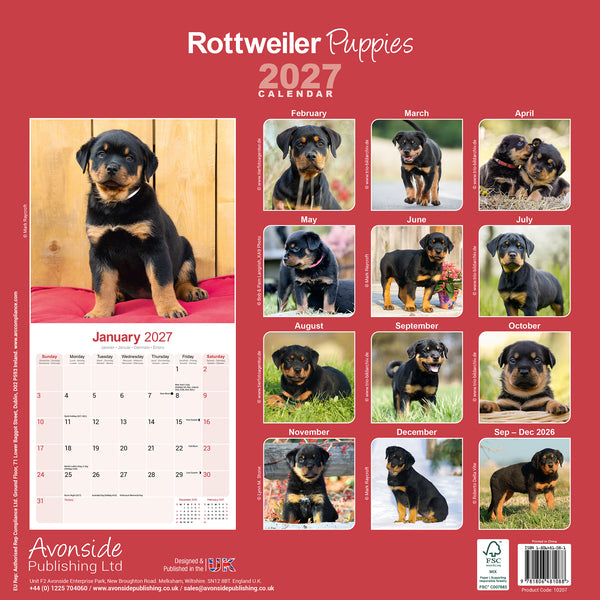 Rottweiler Puppies Calendar 2027