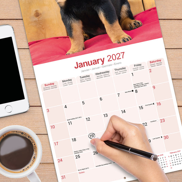 Rottweiler Puppies Calendar 2027