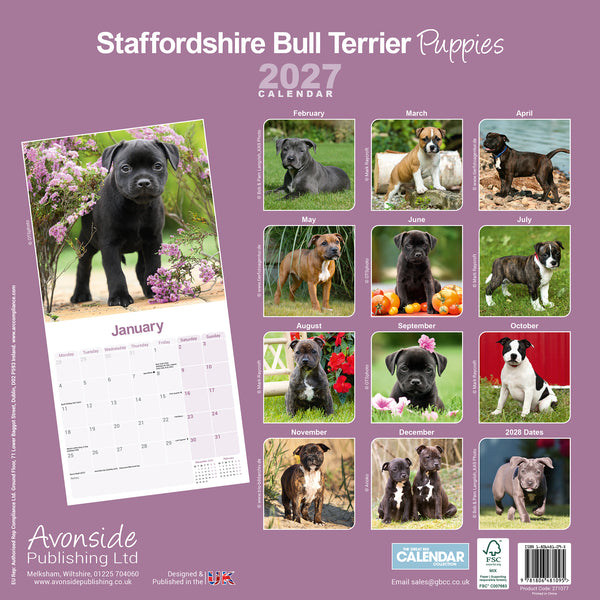 Staffordshire Bull Terrier Puppies Calendar 2027