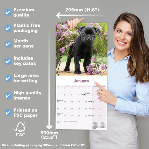 Staffordshire Bull Terrier Puppies Calendar 2027